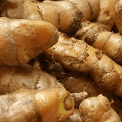 Turmeric
